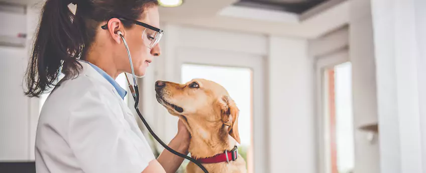 Live Oak Bank Business Loans Review