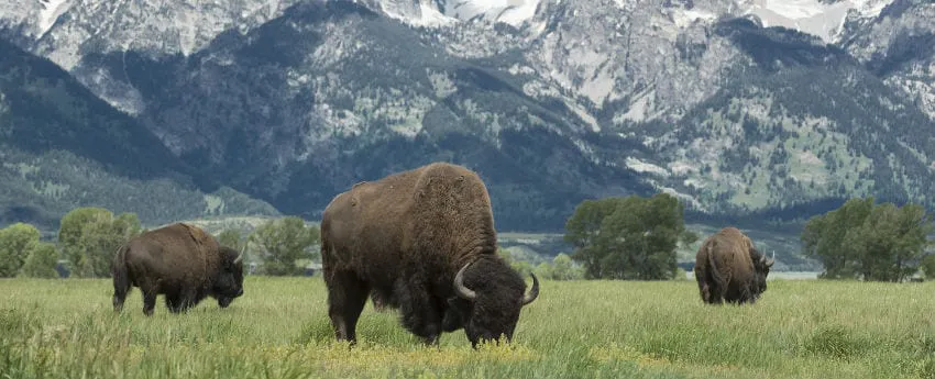 wyoming